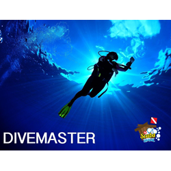 Divemaster - Online
